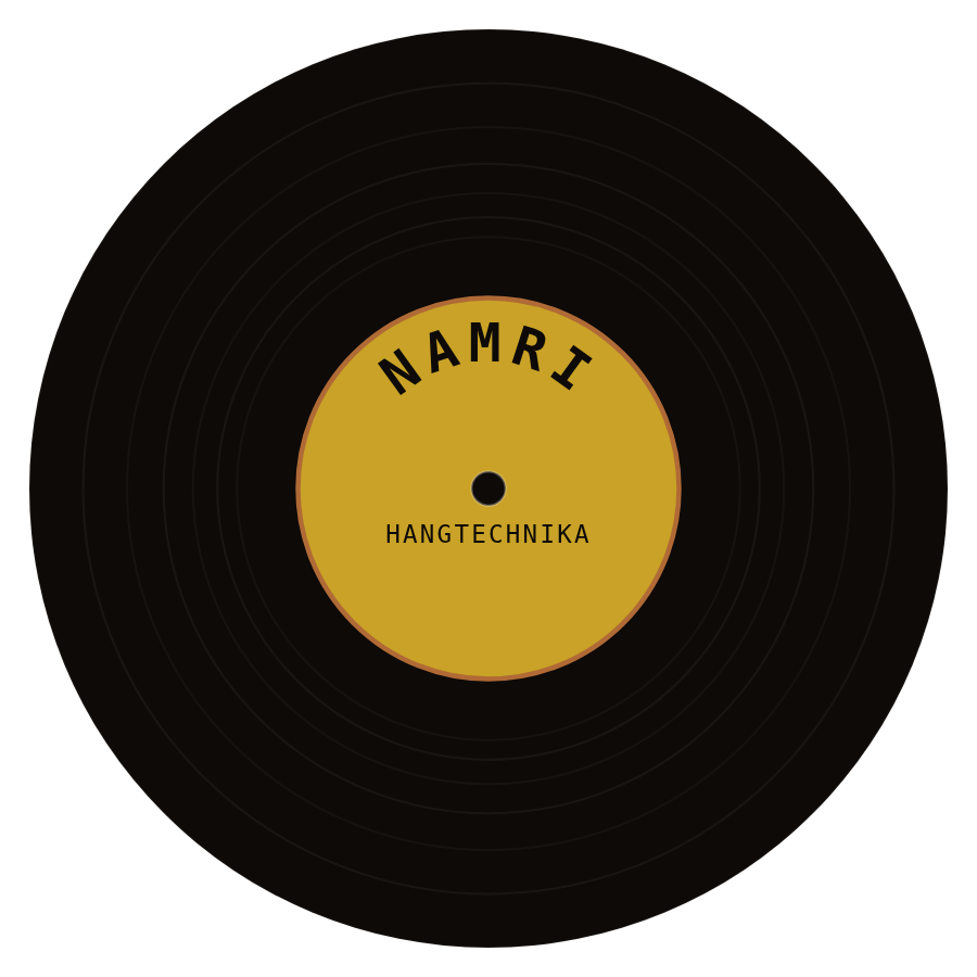 NAMRI hangtechnika logó – vinyl lemez